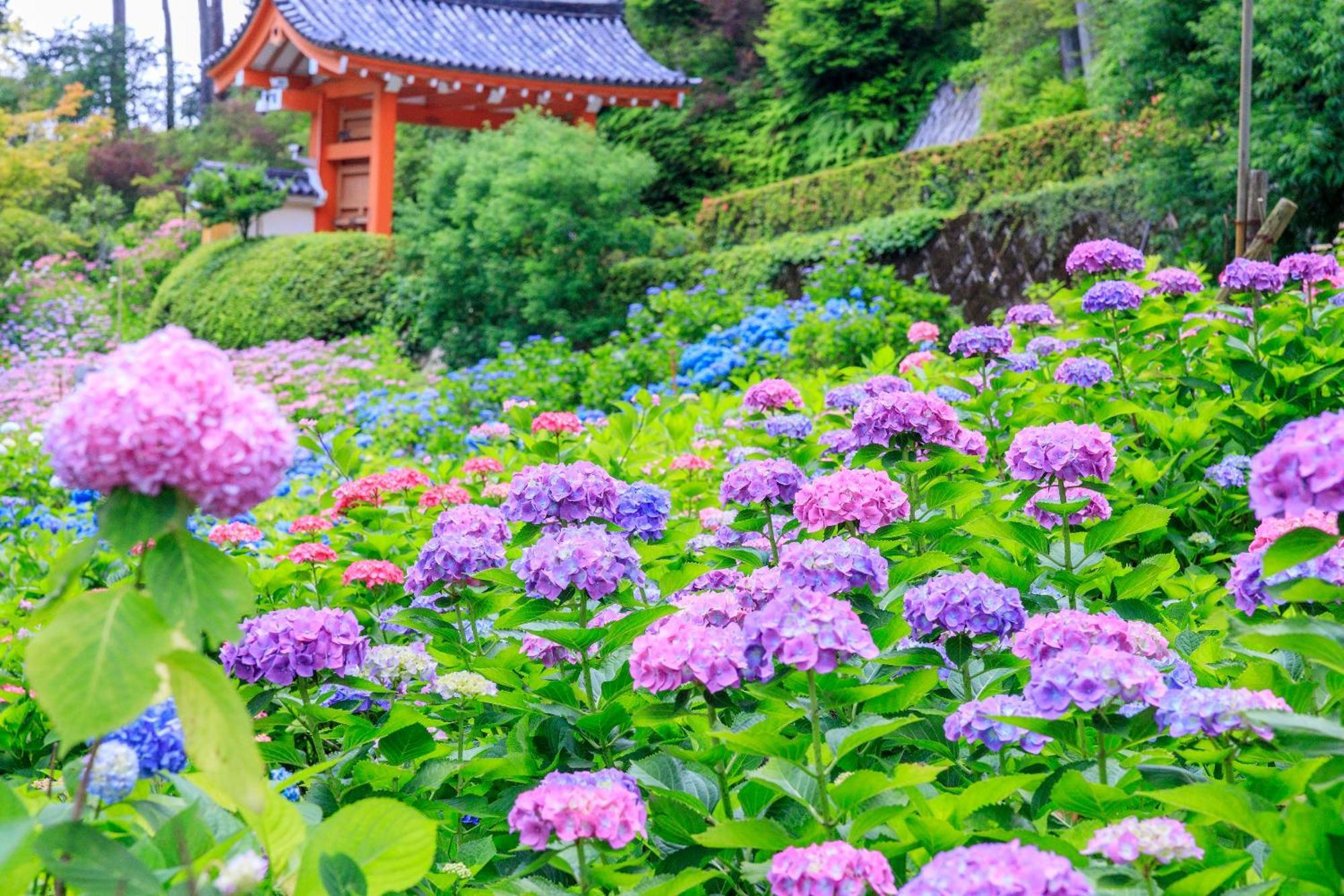 Mimaru Kyoto Nishinotoin Takatsuji Hotel Buitenkant foto