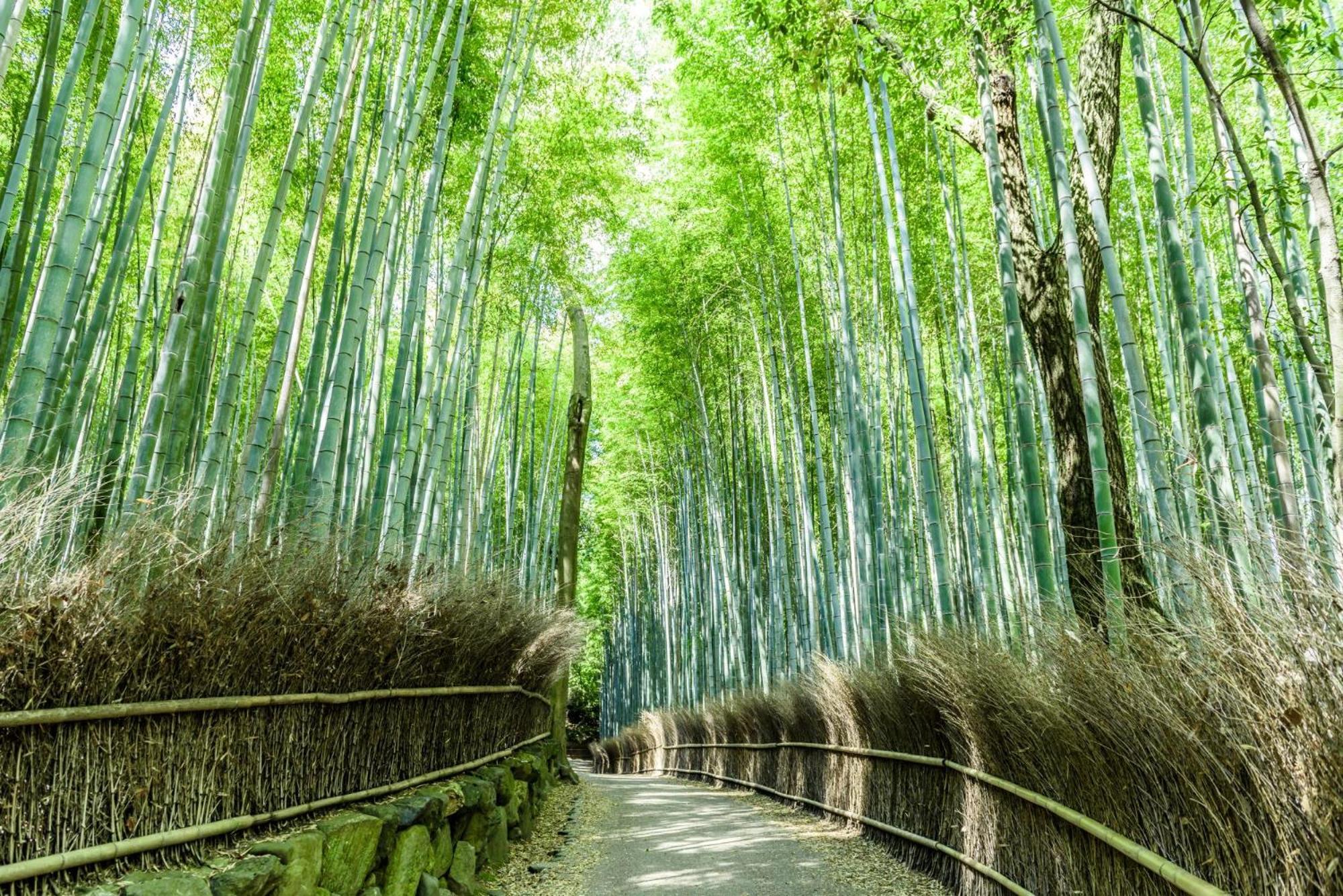 Mimaru Kyoto Nishinotoin Takatsuji Hotel Buitenkant foto